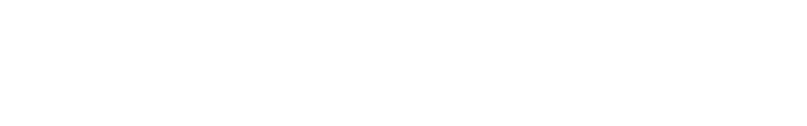 Amelior Group Logo